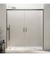 Paroi de douche 2 VF + 2 PC BASIC SPAZIO TITANE